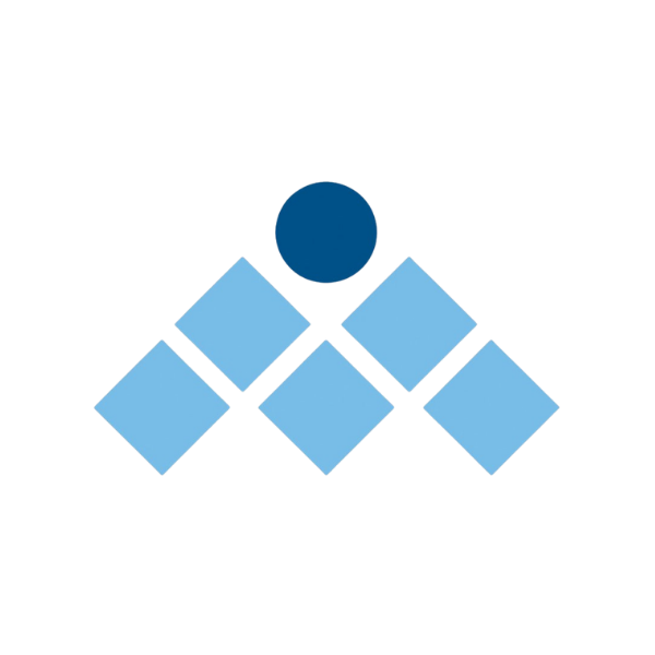 Management Solutions International